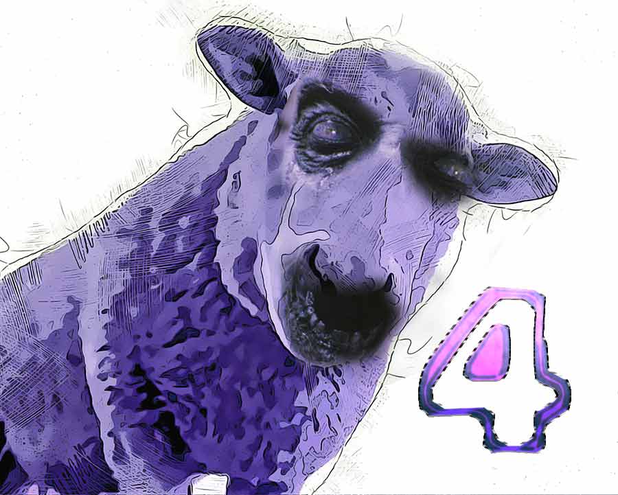pecore4